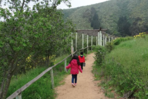 Conaf reabrió el Parque Urbano Natural de La Ligua