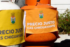 Alcalde de Chiguayante: "Los empresarios descarados subieron en más de un 21,2% el valor del gas"