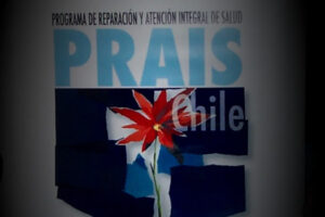 Ante las falencias del programa, se conforma la Coordinadora PRAIS V Región