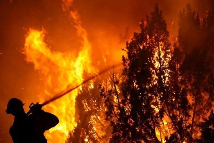 Chile. Arde pero no de casualidad: El agotado, peligroso y rentista modelo forestal/ Incendios y monocultivos forestales: abrir y cambiar el foco del debate