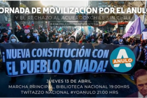 Jueves 13, 19 horas, Biblioteca Nacional, marcha YO#ANULO