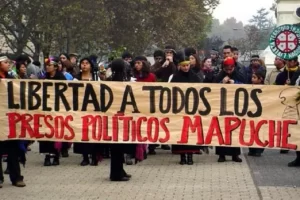 Nación Mapuche. No olvidar a los 15 presos políticos mapuche de la CAM, en huelga de hambre desde hace dos meses